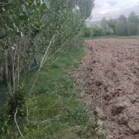 زمین-زراعی-مناسب-کشت-و-ویلا-باغ