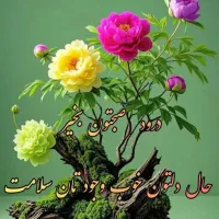 فروش سیمکارت همراه اول کد۶