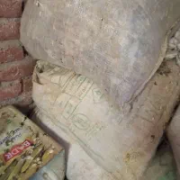 کود کبوتر تمیز