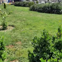 زمین ۴۴۵۰مترحاشیه بلوار فرصت سرمایهگذاری برج سازی|فروش زمین و ملک کلنگی|مشهد, چاهشک|دیوار