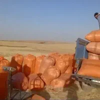 کارگر کیسه زدن کاه کسی خواست در خدمتم