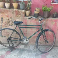 دوچرخه چینی سه مار