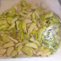 باقالی لوبیا نخود رب
