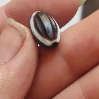 مهره سه پوست کهنه تراش خاص گبری