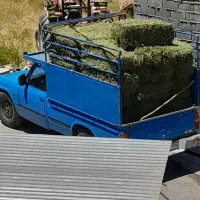 فروش یونجه