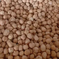 نخود تازه امثاله