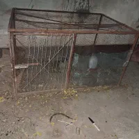 قفس کبوتر ومرغ