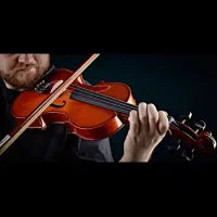 تدریس خصوصی ویولن کلاسیک به صورت حضوری و آنلاین