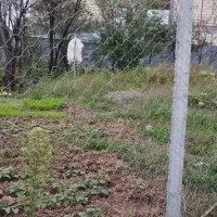 زمین مسکونی درآزارستانکی به مساحت330متر
