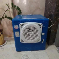 کولرابی