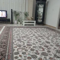 فرش افشان ۹ متری در حد نو