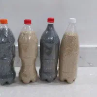 دون