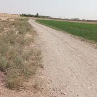 زمین