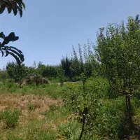 باغ