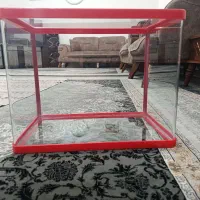 آکواریوم صنعتی جلو خم