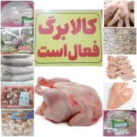 کالا برگ فعال است ،مرغ،ماهی،میگو