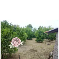 فروش ۷۰۰متر زمین مسکونی همراه با خانه ویلایی