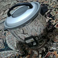 پلوپز ژاپنی سانی
