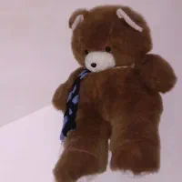 خرس بزرگ 1متری