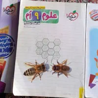 کتاب های تیزهوشان نهم