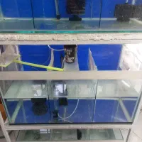 آکواریوم با پایه