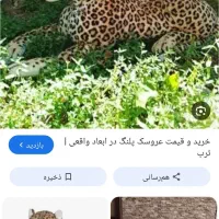 پلنگ پولیشی عروسک کاملا واقعی