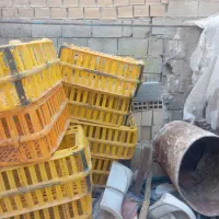 سبد مرغ