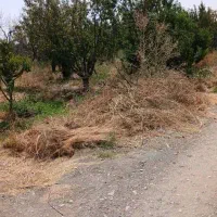 ساوجبلاغ-باغچه396متری