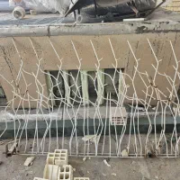 فروش شاخ گوزنی