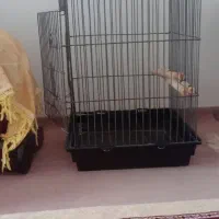 قفس کاسکو و دو عدد قفس کوچیک .توافقی
