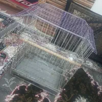 قفس پرنده