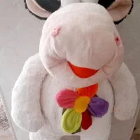 عروسک پولیشی