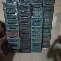 باغبانی وصیفی جات