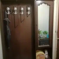 جاکفشی