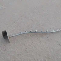پایه رگال
