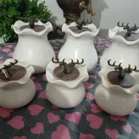 پاسماوری