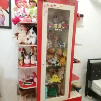 ویترین و کتابخانه