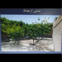 ویلایی-جنوبی-دلباز-شهرک-فرهنگیان
