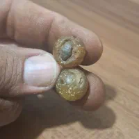 جفت مهره سلیمانی