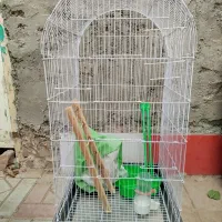 قفس بزرگ با وسایل