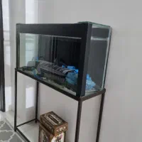 آکواریوم