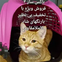 باکس حمل حیوانات سگ و گربه|لوازم جانبی حیوانات|تهران, جوادیه|دیوار