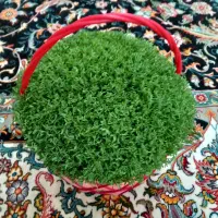 سبزه خوشگل فروشی