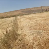 زمین کشاورزی مناسب جهت استفاده باغ بهر جاده اصلی