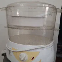 بخار پز