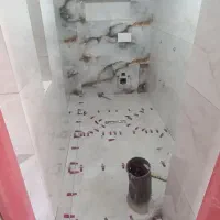 کاشیکار