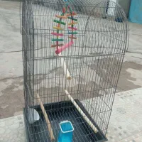 قفس|لوازم جانبی حیوانات|سرپل ذهاب, |دیوار