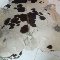 پوست گاو