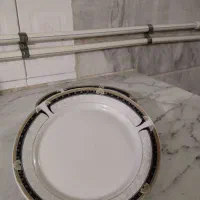 ظروف دسته دو