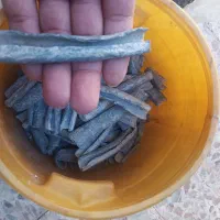 سرب نرم سلیه و ماهیگیری